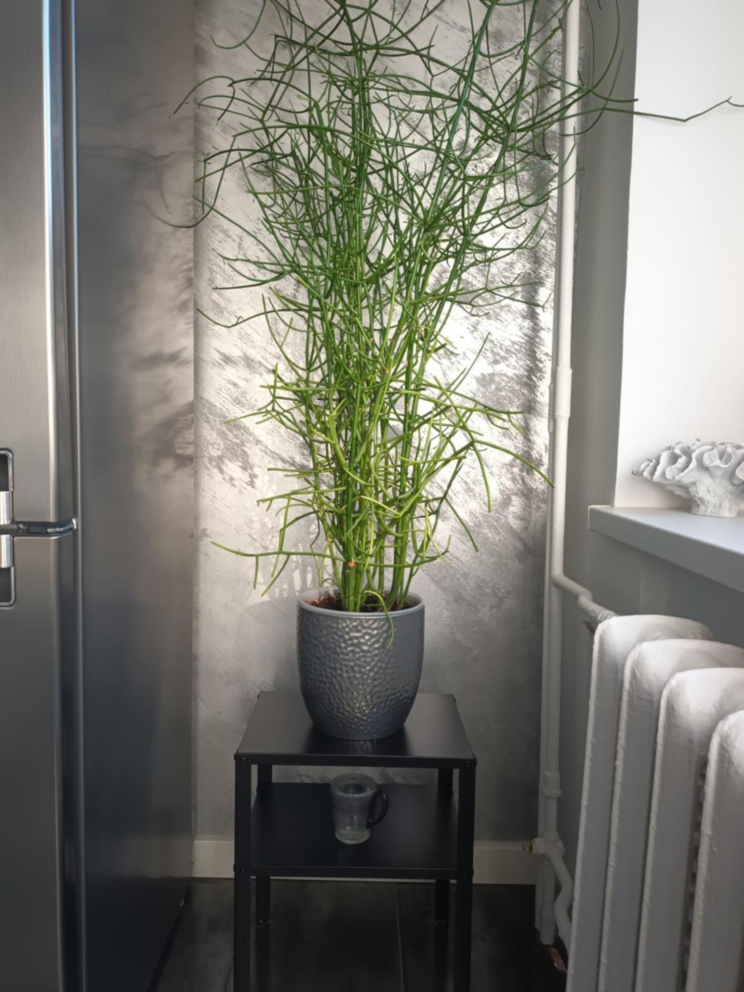 Apartment Ταλίν Εξωτερικό φωτογραφία